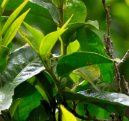 2024第19届深圳充电桩展、充电设备展（4月深圳充电桩展）